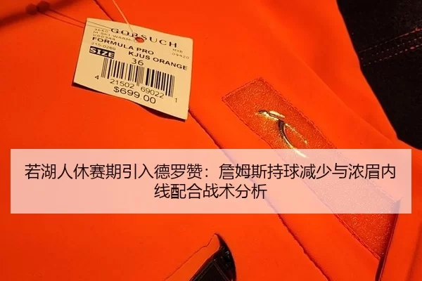 若湖人休赛期引入德罗赞：詹姆斯持球减少与浓眉内线配合战术分析